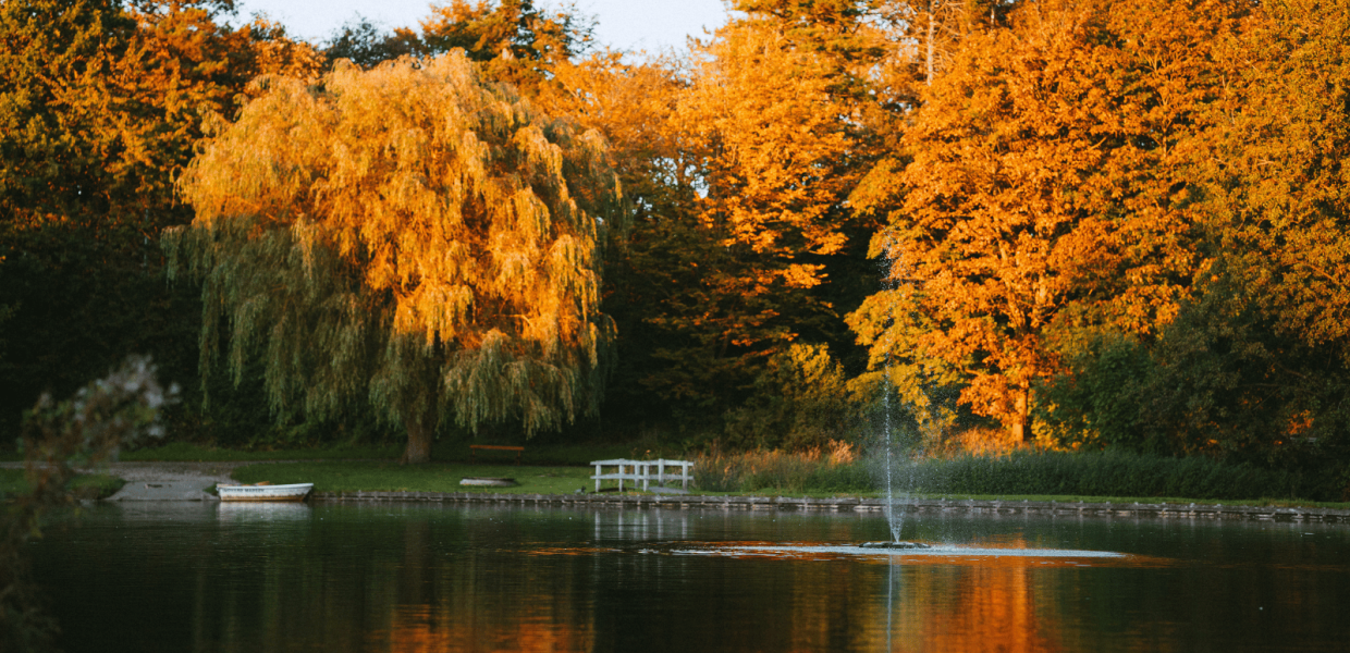 Natur ved Madsby Legepark