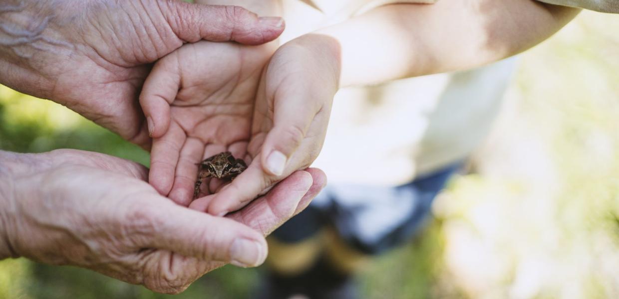 Nature Experiences in Fredericia