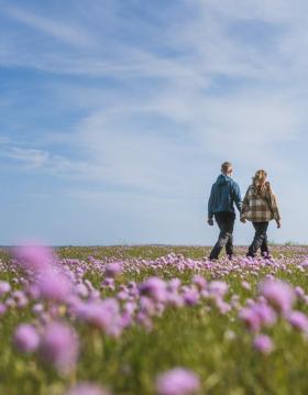 Udforsk Trelde Næs om foråret