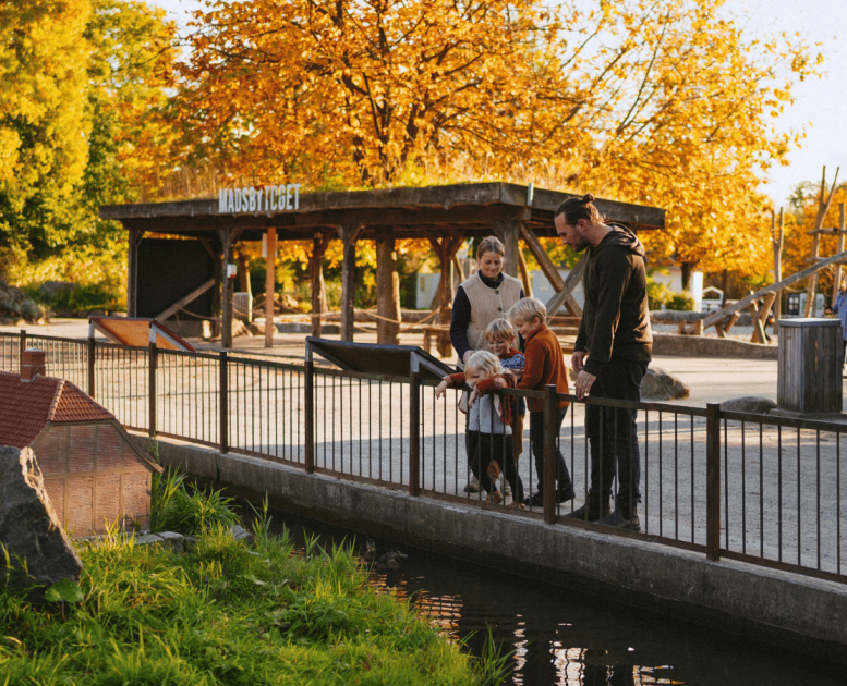 Oplev Madsby Legepark om efteråret